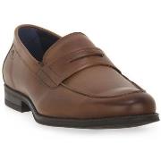 Kengät Fluchos  HABANA CAMEL  43