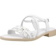 Sandaalit NeroGiardini  E513403D  38