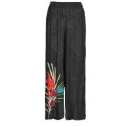 Väljät housut Desigual  COLIBRI  EU S