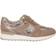 Tennarit Mephisto  Toscana  35 1/2