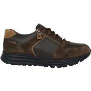 Tennarit Mephisto  Brayan  40
