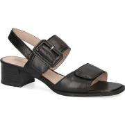 Sandaalit Caprice  -  36