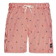 Shortsit & Bermuda-shortsit Jack & Jones  JPSTMAUI  EU XXL