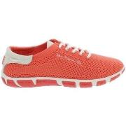 Kengät TBS  Baskets  36