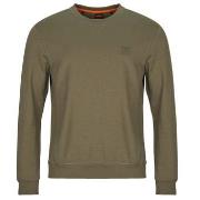 Svetari BOSS  Westart  EU S