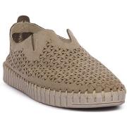 Kengät Frau  NABUK SABBIA  36