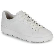 Kengät Geox  U SPHERICA ECUB-1 C  41