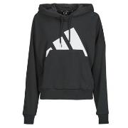 Svetari adidas  Essentials Big Logo French Terry Loose Hoodie  EU S