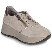 Kengät IgI&CO  D.KOLA  39