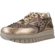 Tennarit Cetti  C1391SRA INV26  37