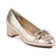 Korkokengät IgI&CO  1164422  37