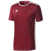 Lyhythihainen t-paita adidas  JR Entrada 18  EU XS
