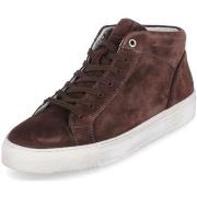 Kengät Sioux  38192  42