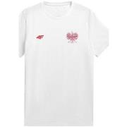 Lyhythihainen t-paita 4F  TSM950  EU XXL