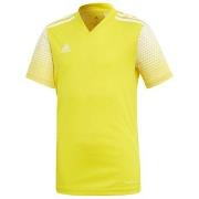 Lyhythihainen t-paita adidas  Regista 20 Jersey  EU XS