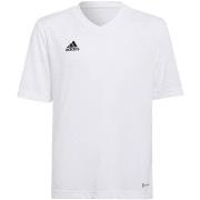 Lyhythihainen t-paita adidas  Entrada 22 Jsy  EU S