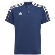 Lyhythihainen t-paita adidas  Tiro 21 Polo  EU M