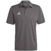 Lyhythihainen t-paita adidas  Entrada 22  EU M