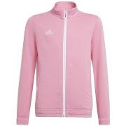 Svetari adidas  Entrada 22  EU L