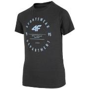 Lyhythihainen t-paita 4F  JTSM003  Yksi Koko