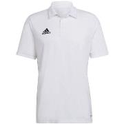 Lyhythihainen t-paita adidas  Entrada 22  EU XXL