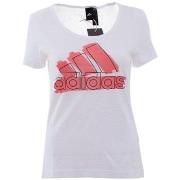 Lyhythihainen t-paita adidas  Bos Special Tee  EU XS