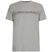 Lyhythihainen t-paita Tommy Hilfiger  UM0UM02422P61  EU M