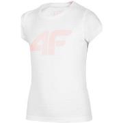 Lyhythihainen t-paita 4F  JTSD005  Yksi Koko