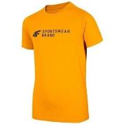 Lyhythihainen t-paita 4F  JTSM003  Yksi Koko