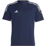Lyhythihainen t-paita adidas  Tiro 23 League JR  EU S
