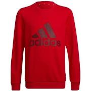 Svetari adidas  HE9286  EU M
