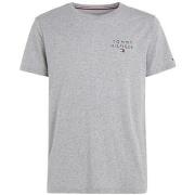 Lyhythihainen t-paita Tommy Hilfiger  UM0UM02916P61  EU M