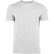 Lyhythihainen t-paita 4F  4FSS23TTSHM536CHODNYJASNYSZARYMELAN  EU XXL