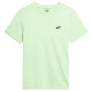 Lyhythihainen t-paita 4F  4FJSS23TTSHM29142S  Yksi Koko