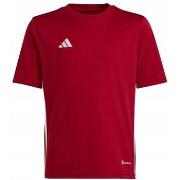 Lyhythihainen t-paita adidas  Tabela 23 Jersey  EU S