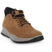 Kengät Imac  452198ARANCIO  43