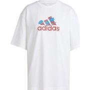 Lyhythihainen t-paita adidas  IT1421  EU M