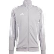 Svetari adidas  Tiro 24  EU XXL