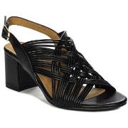 Sandaalit Maciejka  N651701001  36