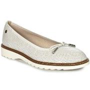 Kengät Maciejka  P650911001  36