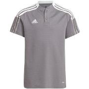 Lyhythihainen t-paita adidas  Sport-polo Team Tiro 21  EU S