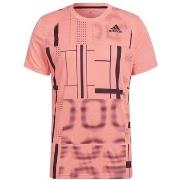 Lyhythihainen t-paita adidas  Graphic Tee  EU S
