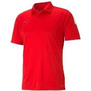 Lyhythihainen t-paita Puma  Teamliga Sideline  EU XXL