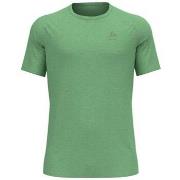 Lyhythihainen t-paita Odlo  X-alp Pw 115  EU XXL