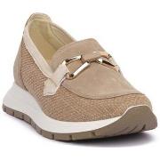 Kengät IgI&CO  7659711  42