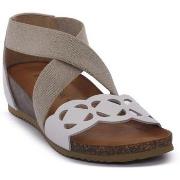 Kävelykengät IgI&CO  7698000  38