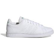 Kengät adidas  Advantage Base  46