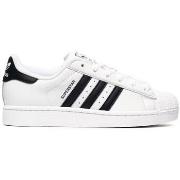 Kävelykengät adidas  Superstar Ii  42