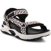 Kävelykengät D.Franklin  DFSH406002DOTT  36