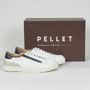 Kengät Pellet  SONNY  42